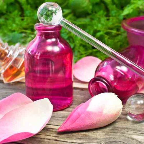 Vanilla-Rose Cordial Recipe